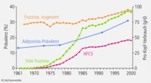 Anstieg HFCS Konsum